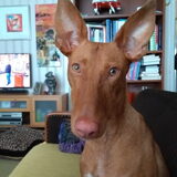 Is ze niet om te zoenen? Onze beauty!