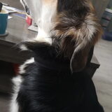 Foto van Rosanja