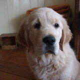 Foto van Ingrid en Dootje
