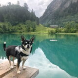 Vakantie in Oostenrijk 2018