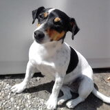 Foto van Kaatje en Hailey (Speedy† Tessa†)