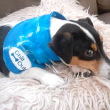 Foto van Kaatje en Hailey (Speedy† Tessa†)