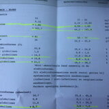 Foto van Anny en Lance