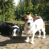 Hunter en Fly