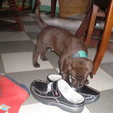 wat stinken die slippers
