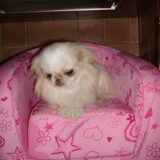 Malou
