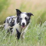 Foto van Angelique; Bruno, Charlie & Fenna
