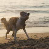 Foto van Angelique; Bruno, Charlie & Fenna