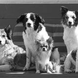 Foto van Angelique; Bruno, Charlie & Fenna