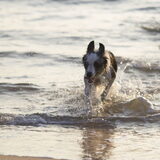 Foto van Angelique; Bruno, Charlie & Fenna