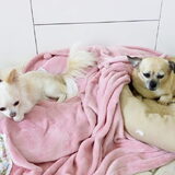 Kiki (links) en Molly (rechts)