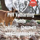Iedereen is welkom bij ons. Het opleiden van zowel hond als…