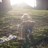 Wandelen!