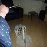 Foto van Roos,Jeff † en Waldo † en Mootje †