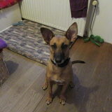 Foto van yooop
