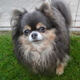 Foto van Evy