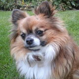 Foto van Evy
