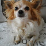 Foto van Evy