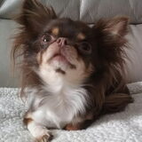Foto van Evy