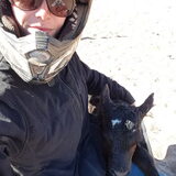 Foto van Dutchshepherdteam