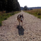 Foto van Lavina