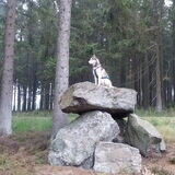 Foto van Lavina