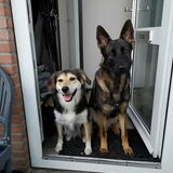 Foto van Rosanja