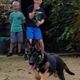 Foto van Rahmi