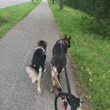 Foto van Rosanja