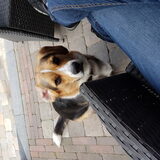 Foto van janet