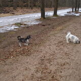 Tommie en Benji