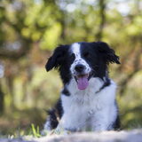 Foto van Angelique; Bruno, Charlie & Fenna