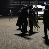 Foto van Rosanja