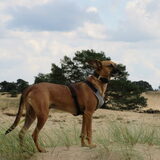 Foto van yooop