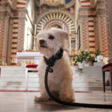 Malteke in een kerk in Toscane. Ze had kanker en een slechte prognose…