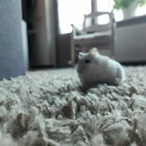 Foto van May