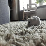 Foto van May