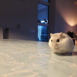 Foto van May