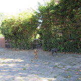 Foto van yooop