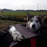 Foto van Lavina