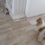 Foto van roxanne & balou