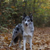 Foto van Angelique; Bruno, Charlie & Fenna