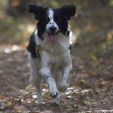Foto van Angelique; Bruno, Charlie & Fenna