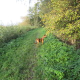 Foto van yooop