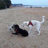 Foto van Nicole & Kayla