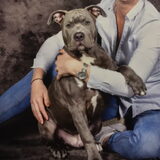 My Boy