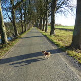 Wandelen.