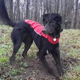 Foto van Naomi