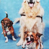 met 'broer'en 'zus'op de foto. Oftewel, 2 van chiev's beste vriendjes