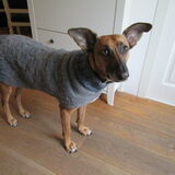 Foto van yooop